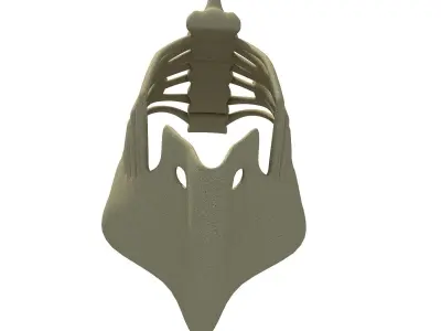Eagle Ribcage Skeleton 3D model