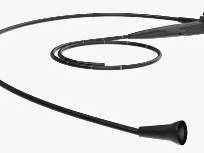 Endoscope 3D model