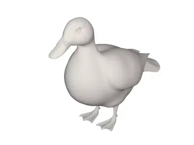 Duck animals 3D model