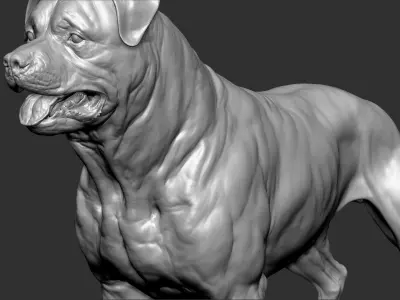 Rottweiler Dog VFX Zbrush Sculpt 3D model