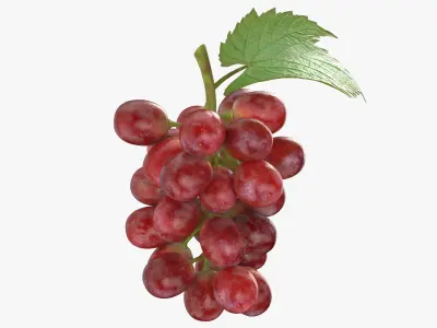 Ripe Red Grape Collection 3D model