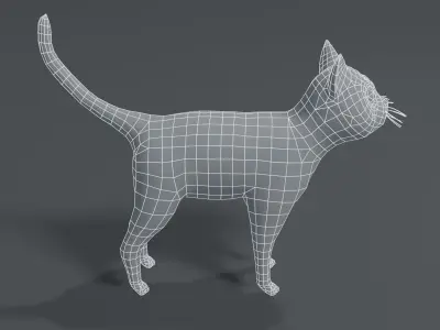 Cartoon Cat Base Mesh 3D Model Low-poly 3D model
