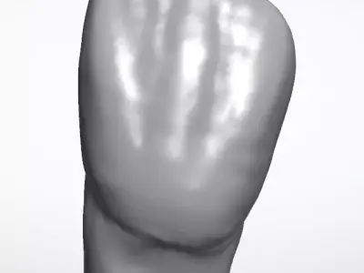 Dental morphology-first incisor 3D model