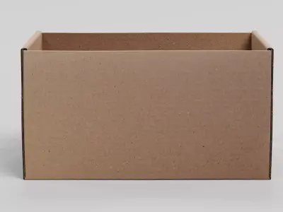 -Carrier Box- 3D model