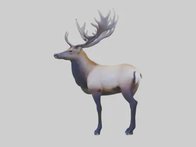 Elk deer Low-poly 3D model purchase