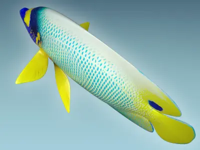 Angle Fish 16 3D model