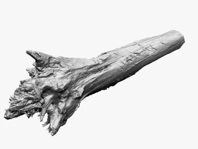 3D Tree trunk Zbrush sculpt 3D model