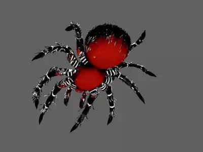 Spider 3D model 17