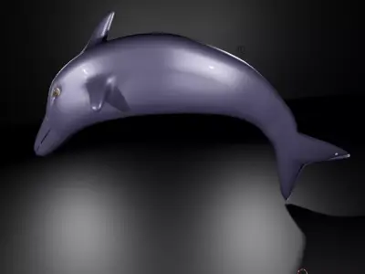 RIGGED DOLPHIN MODEL Free 3D model