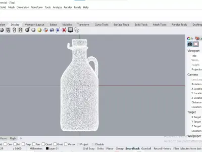 Decorated Clay Water Bottle  3D print model