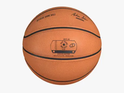 Realistic Basketball Ball Collection 8K 3D model