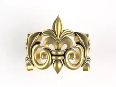 Fancy Design Ladies Ring 3D print model