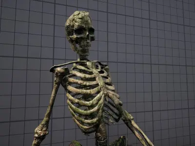 Mossy Skulls VOL 1 Low-poly 3D model