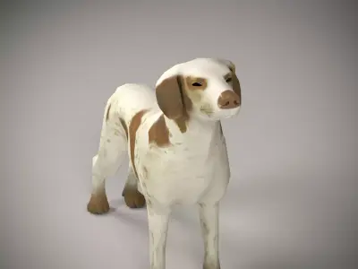 Realistic 3D Dog Model  3D model
