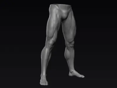 Male Legs 6 Poses 3D model
