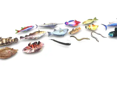 Fishes Set 3D model get