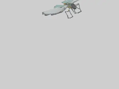 Glasswing Butterfly feeding model Low-poly 3D model