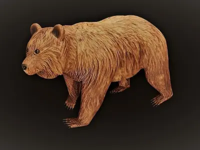 Brown Bear Low-poly 3D model