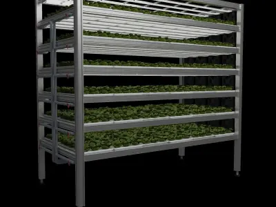 Vertical farm hydroponic 3D model