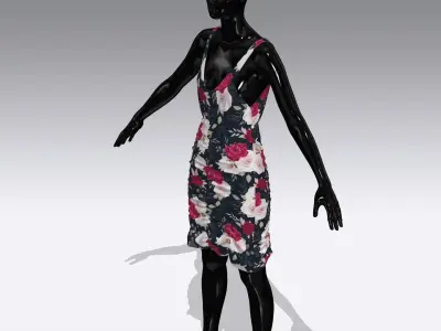 Woman Cloth Dress Low-poly 3D model