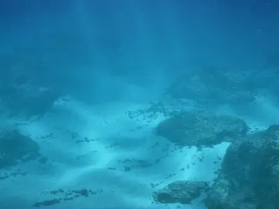 Underwater Reef Scene Animated 3D model