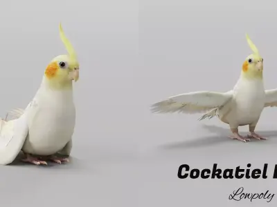 Cockatiel Parrot Bird Free low-poly 3D model