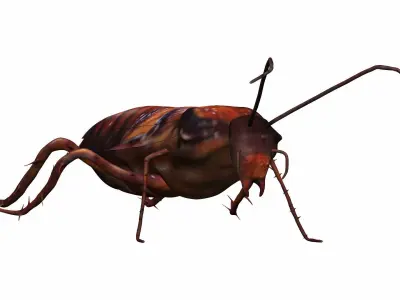 Cockroach Low-poly 3D model purchase