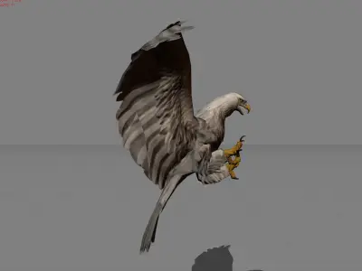 Eagle animal Low-poly 3D model
