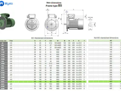 280S B5 2 Pole IEC electric motor - 3D CAD model 3D model