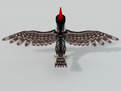Woodpecker bird Low-poly 3D model