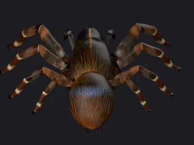 spider walking creepy tarantula attack idle game horror 3D model