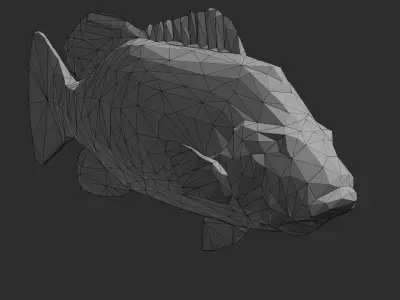 Low Poly Peacock Bass Low-poly 3D model