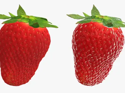 Strawberry With Stem Collection 3D model