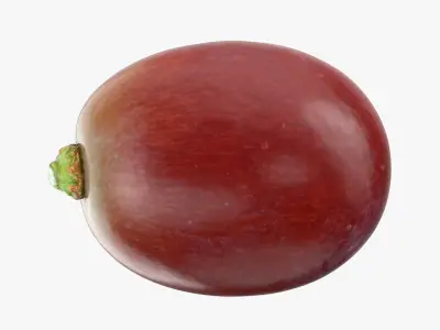 Grape Collection 2 3D model
