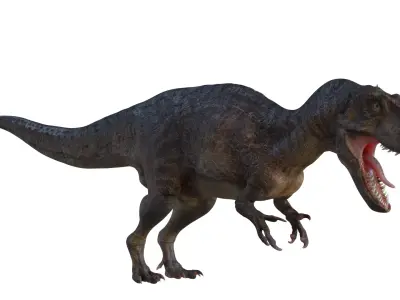 Dinosaur 3D model 14