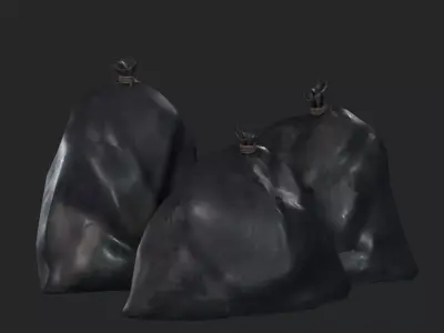 Realistic Garbage Bag 3D Model  Low-poly 3D model