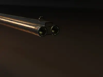 Double Barrel Low-poly 3D model