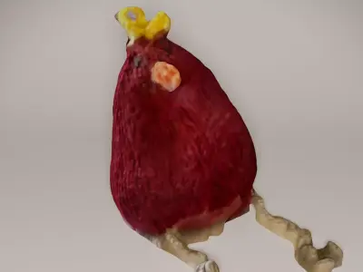Cute Knitted Bird Photoscan Low-poly 3D model