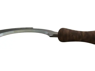Curved Cerulit Sword 3D Model with Green Jade 3D model