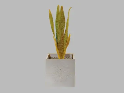 pot plant Free low-poly 3D model