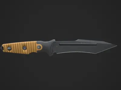 Black Tanto Knife D2 with Sheath  Low-poly 3D model