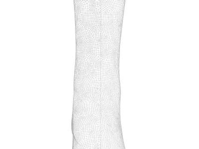 Long Socks 3D model