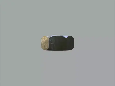 Steel Stained M5 Hex Nut with PBR 4K Textures 3D model