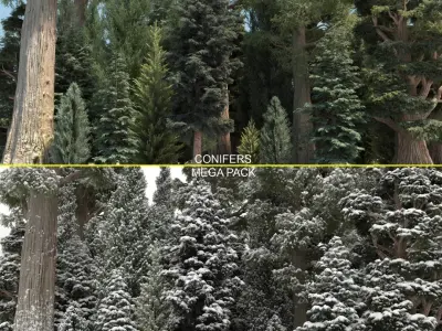 40 Conifer Trees with snow 3D model
