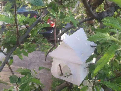Longy Birdhouse Free 3D print model