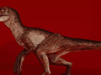 JP-VELOCIRAPTOR-RIGGED 3D model