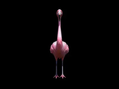 Flamingos On The Sea Beach 3d Render 3D model