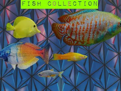 3D Fish model-Set of 5-Materials included Low-poly 3D model