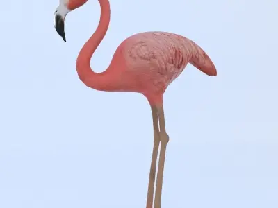 Flamingo checkered Low-poly 3D model