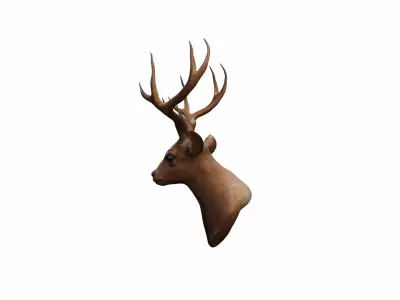  3d Render Close Up Of Red Deer Head 3D model
